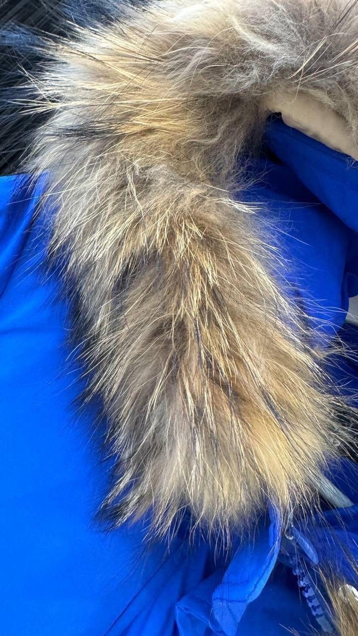 куртка женская зимняя с мехом енот премиум класса синего цвета 3141s,куртка женская зимняя,зимняя куртка,женские пуховики,пуховик