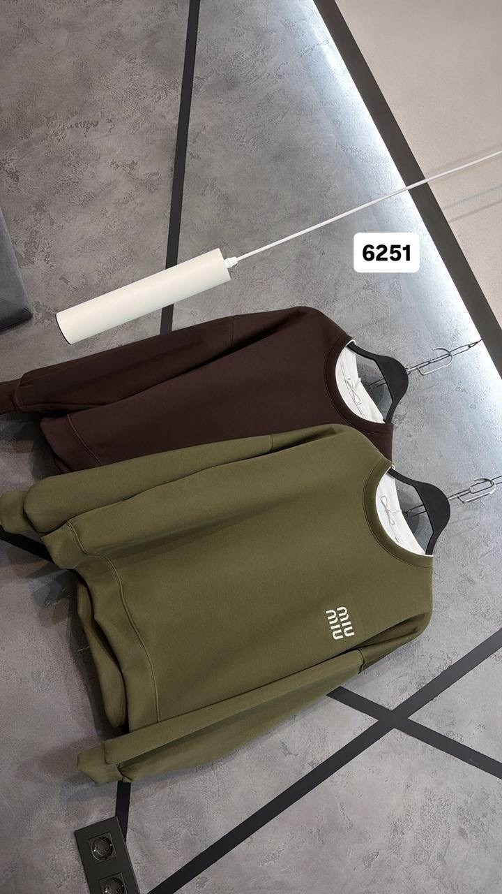 свитшот повседневный,свитшот женский,свитшот мужские оверсайз,оверсайз свитшот,свитшот с длинными рукавами