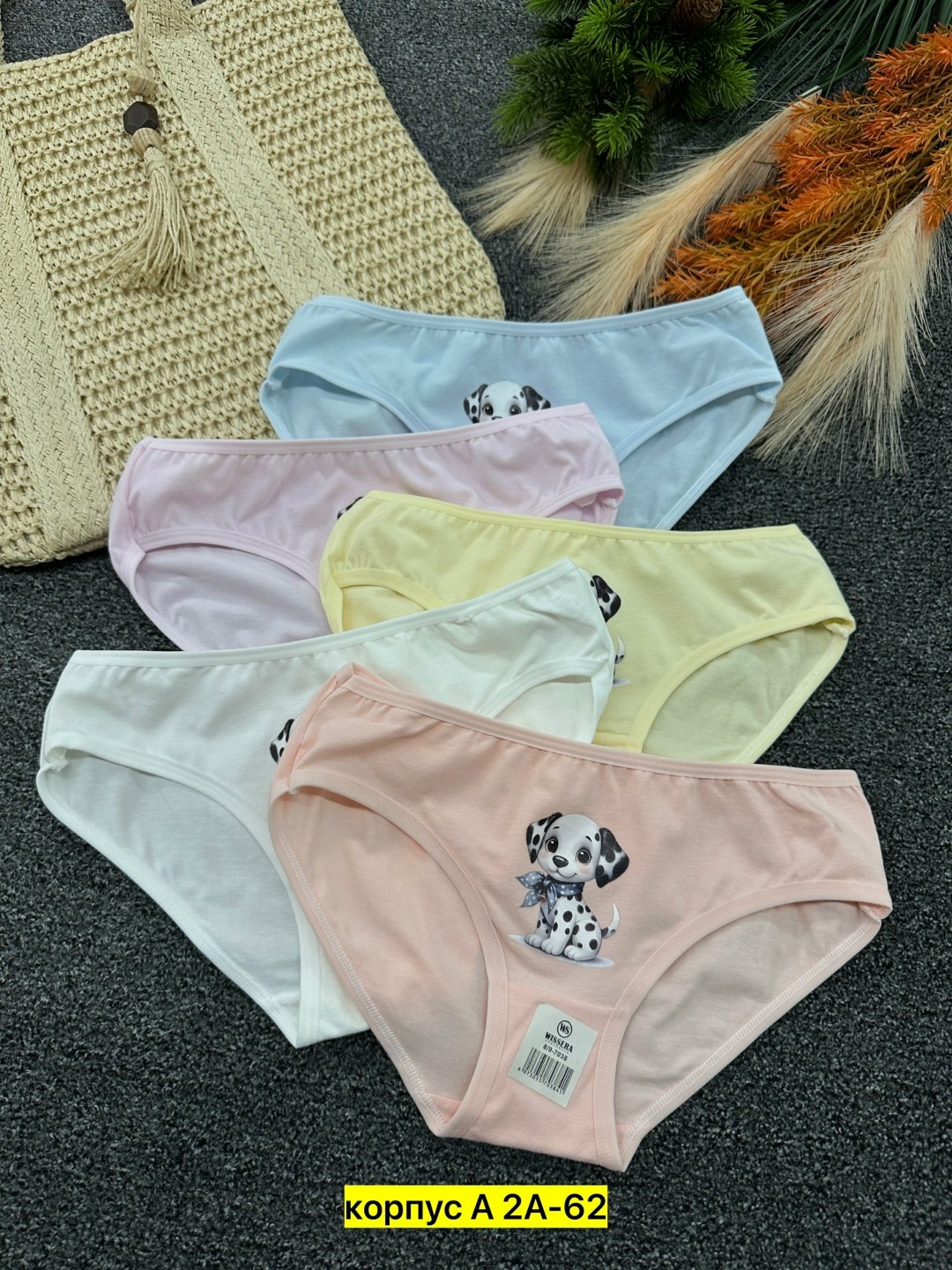 комплект трусов слипы donella для девочек 5 шт,трусы для девочки 5 шт donella,трусы для девочек donella,детские трусы для девочек,трусы для девочек