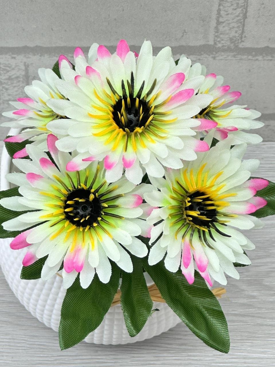 остеоспермум cape daisy pink bicolour,остеоспермум цветок,остеоспермум,цветок искусственная,остеоспермум эрато