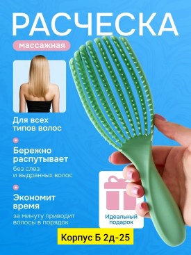 Одежда