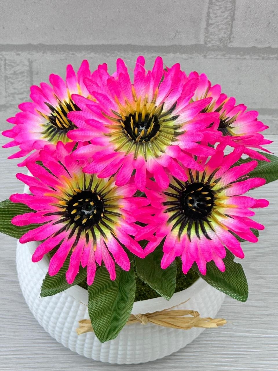 остеоспермум cape daisy pink bicolour,остеоспермум цветок,остеоспермум,цветок искусственная,остеоспермум эрато