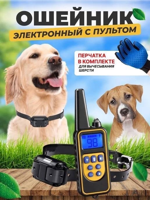 электронный ошейник для дрессировки собак,электронный ошейник,электронный ошейник для дрессировки собак р-880pro,электронный ошейник для собак,электронный ошейник для дрессировки собак р-880