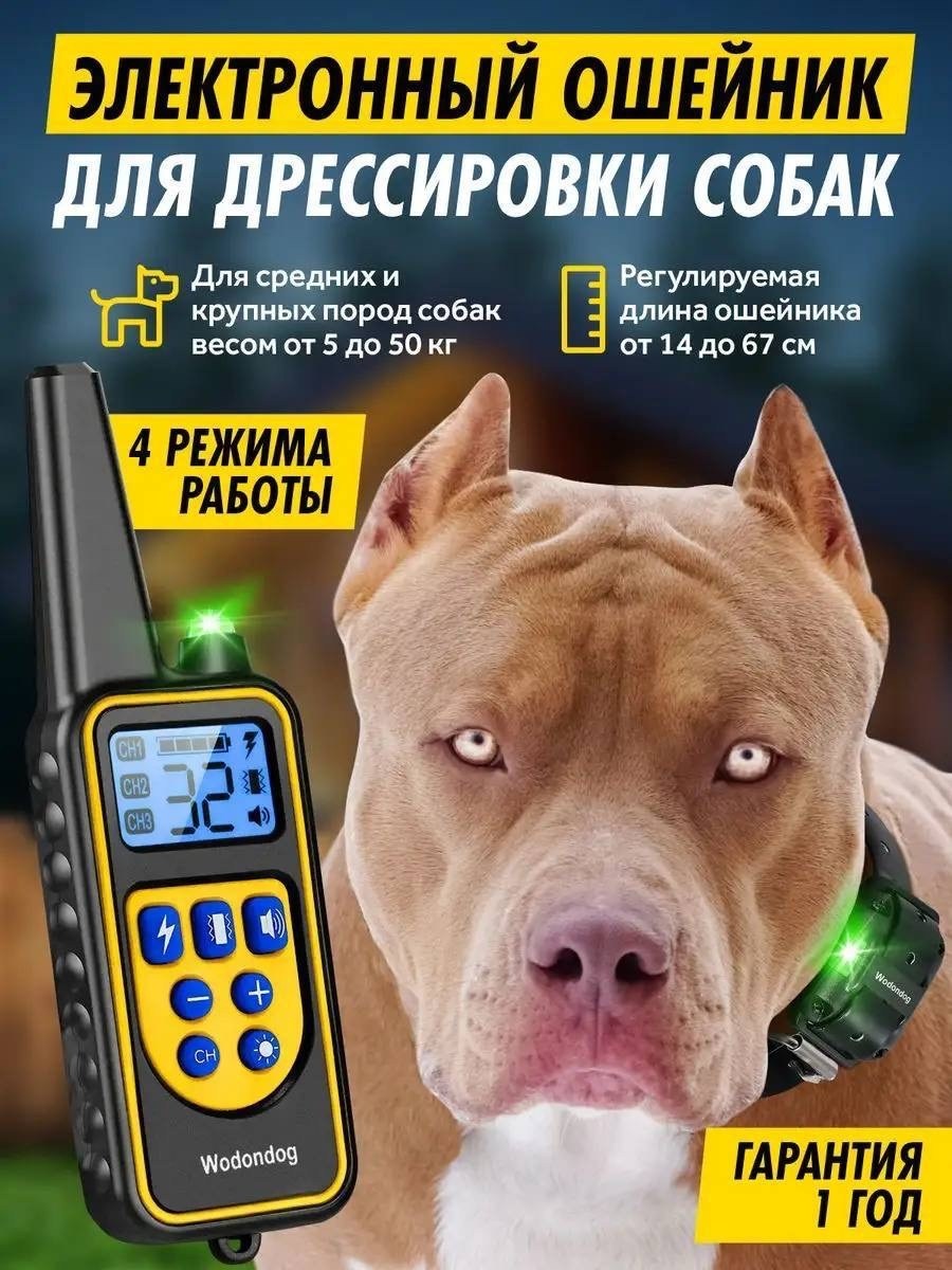 электронный ошейник для дрессировки собак,электронный ошейник,электронный ошейник для дрессировки собак р-880pro,электронный ошейник для собак,электронный ошейник для дрессировки собак р-880