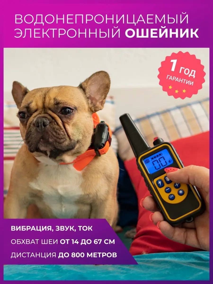 электронный ошейник для дрессировки собак,электронный ошейник,электронный ошейник для дрессировки собак р-880pro,электронный ошейник для собак,электронный ошейник для дрессировки собак р-880
