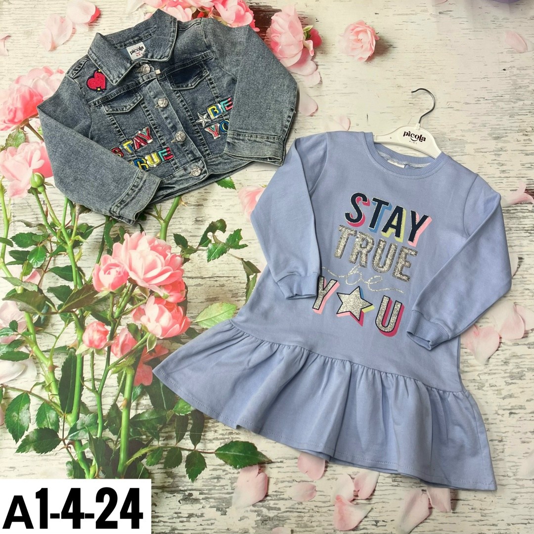 джинсовая куртка с платьем,одежда для девочек,джинсовая куртка,комплект одежды для маленьких девочек,джинсовая куртка для девочек