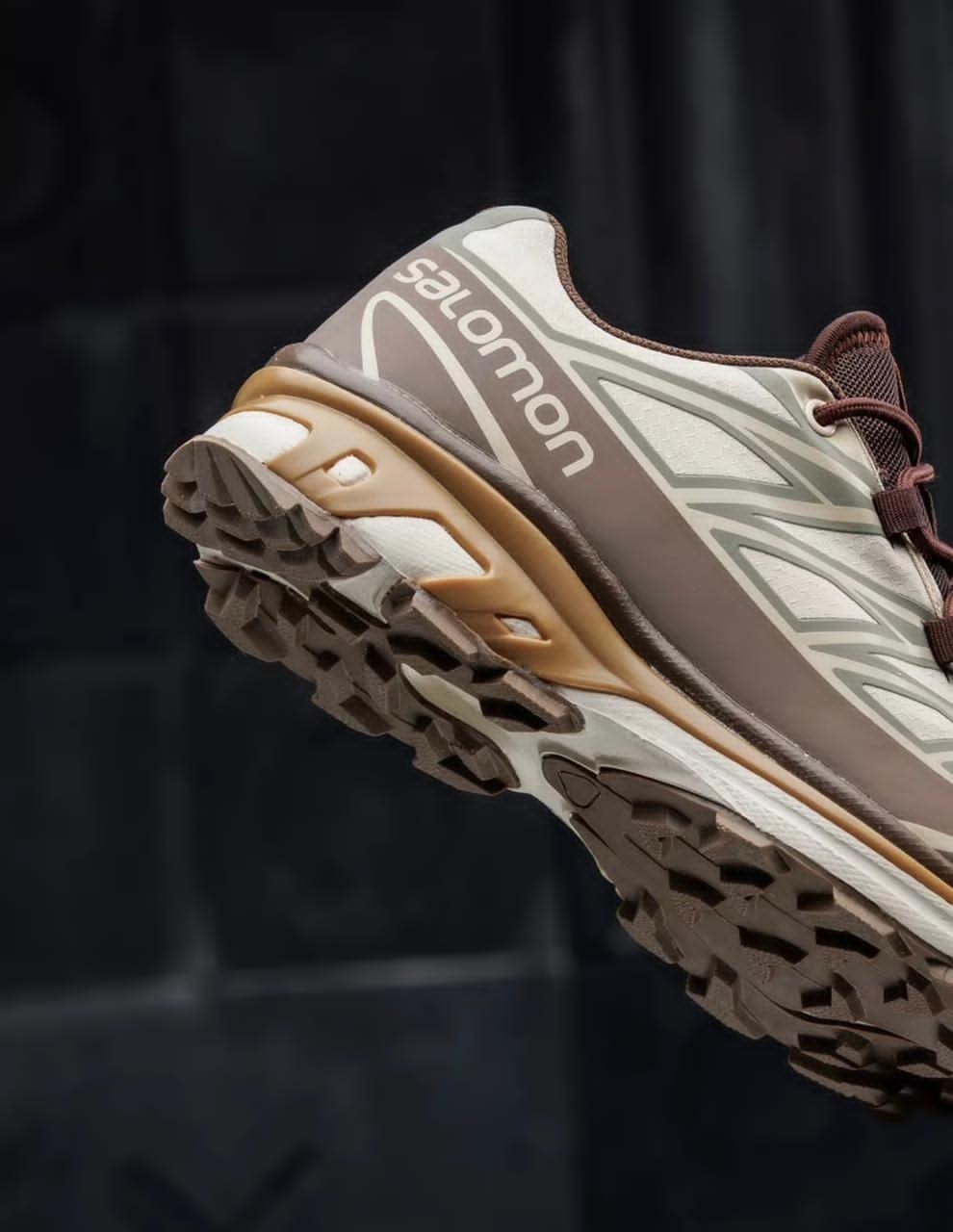 кроссовки salomon,кроссовки salomon xt 6,salomon xt 6 gtx,кроссовки salomon xt,кроссовки соломон