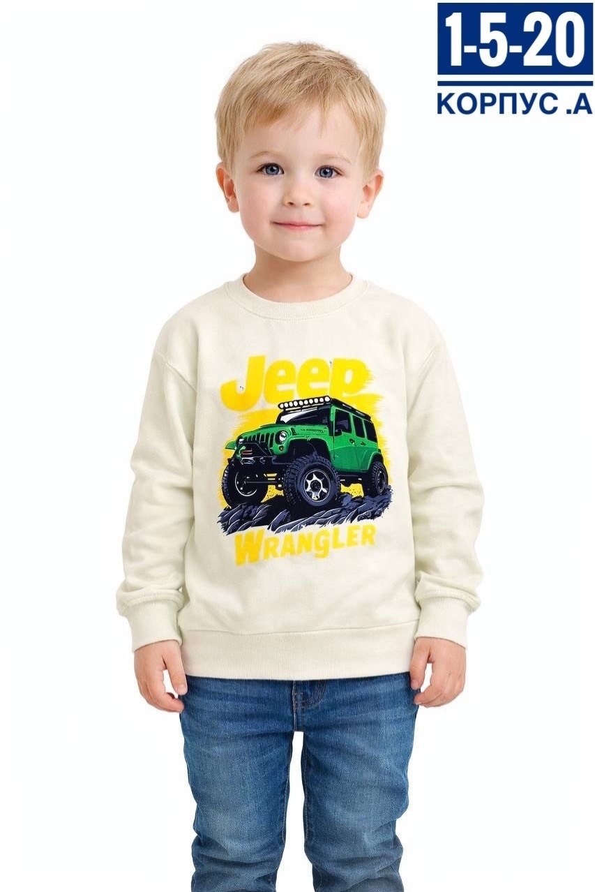 свитшот для мальчика,кофта для мальчика,толстовка для мальчика,детский джемпер,свитшот для малыша