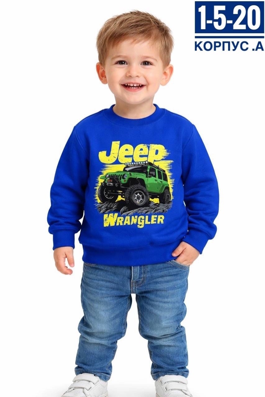 свитшот для мальчика,кофта для мальчика,толстовка для мальчика,детский джемпер,свитшот для малыша