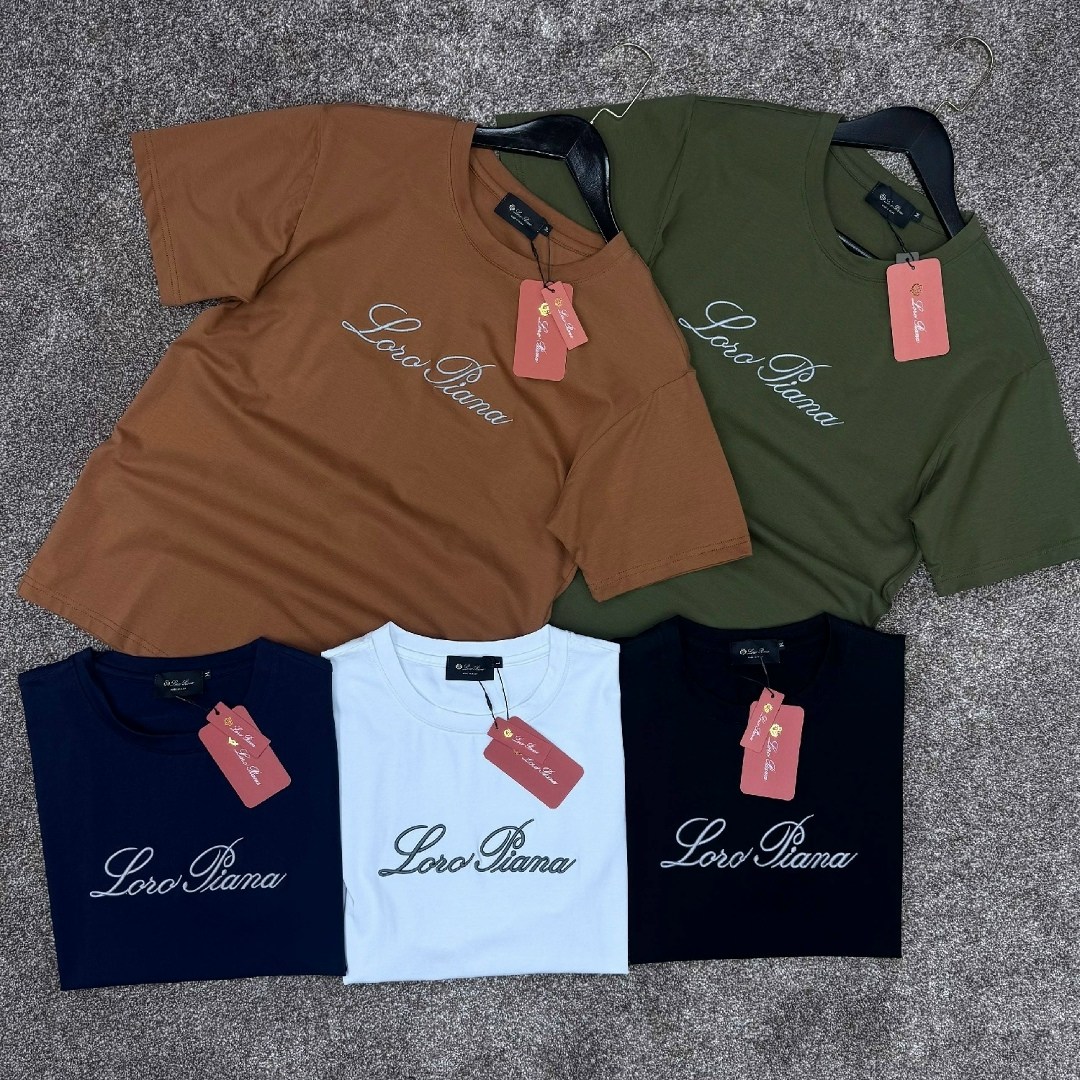 футболка loro piana,футболки мужские,футболка для мужчин,футболка