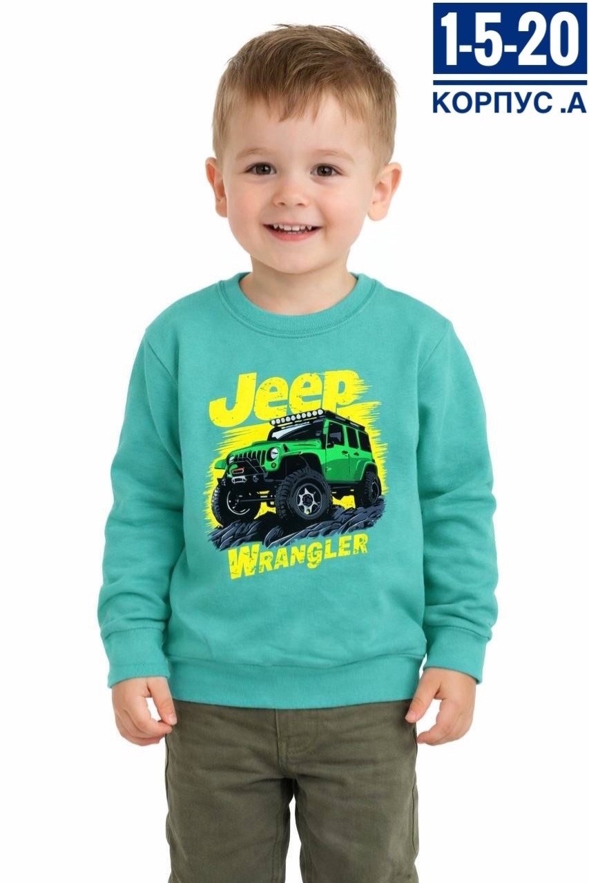 свитшот для мальчика,кофта для мальчика,толстовка для мальчика,детский джемпер,свитшот для малыша