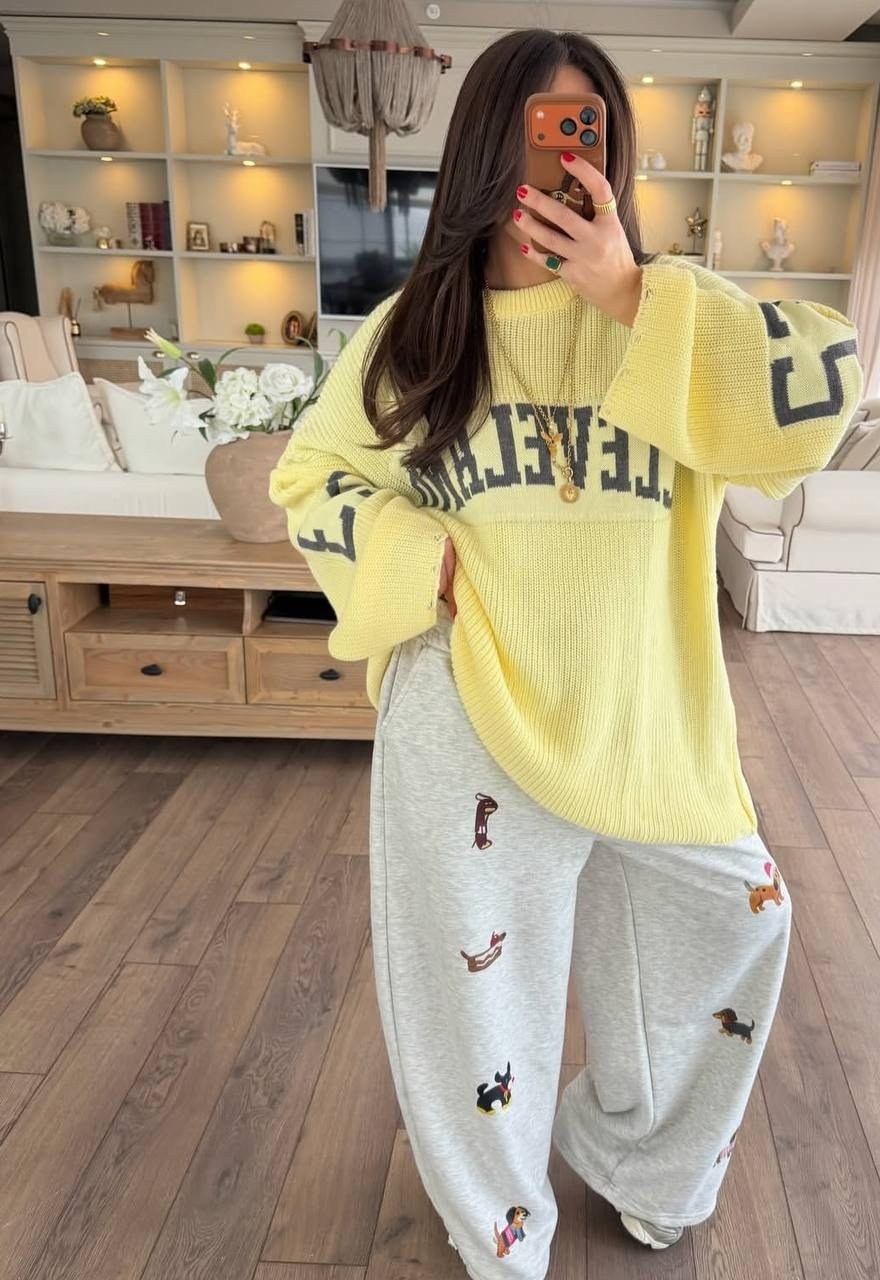 спортивные штаны,брюки трикотажные,спортивные брюки,брюки с вышивкой,повседневные брюки