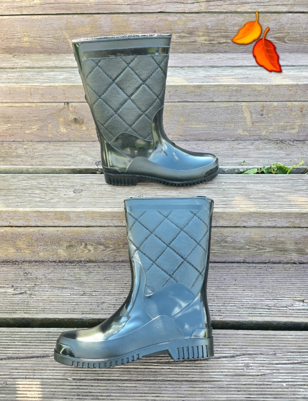 резиновые сапоги,женские резиновые сапоги,,резиновые сапоги двинэм,демисезонные резиновые сапоги