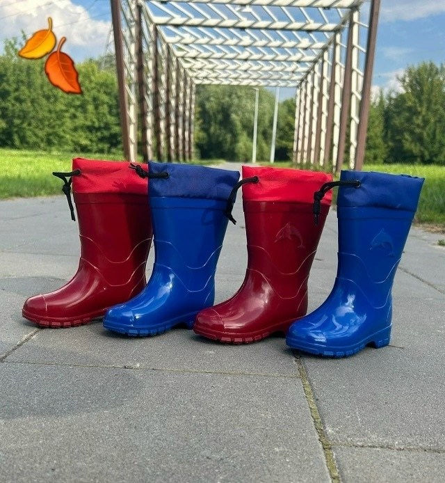детские резиновые сапоги,резиновые сапоги,резиновые сапоги нордман детские,сапоги детские,сапоги нордман резиновые цветные