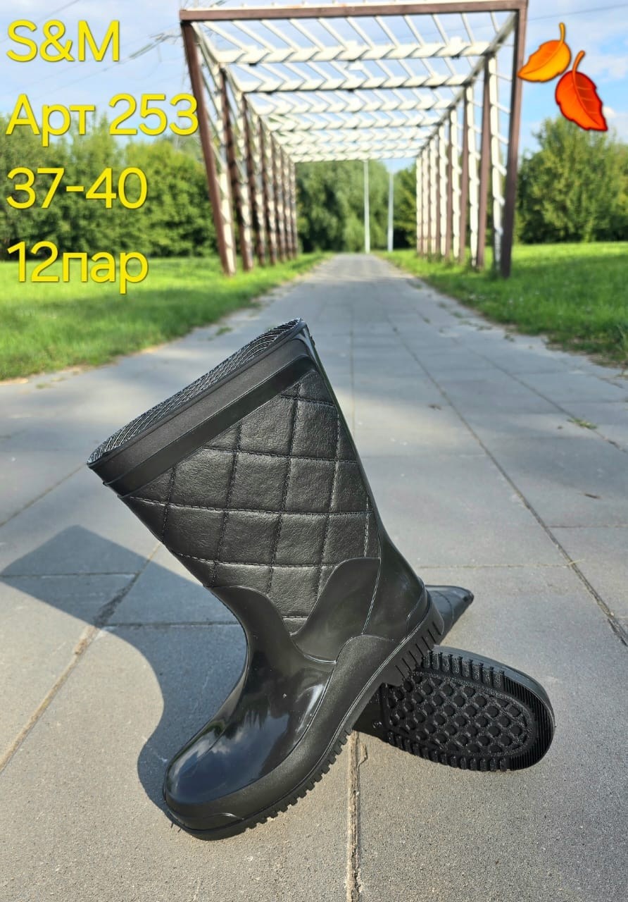 резиновые сапоги,женские резиновые сапоги,,резиновые сапоги двинэм,демисезонные резиновые сапоги