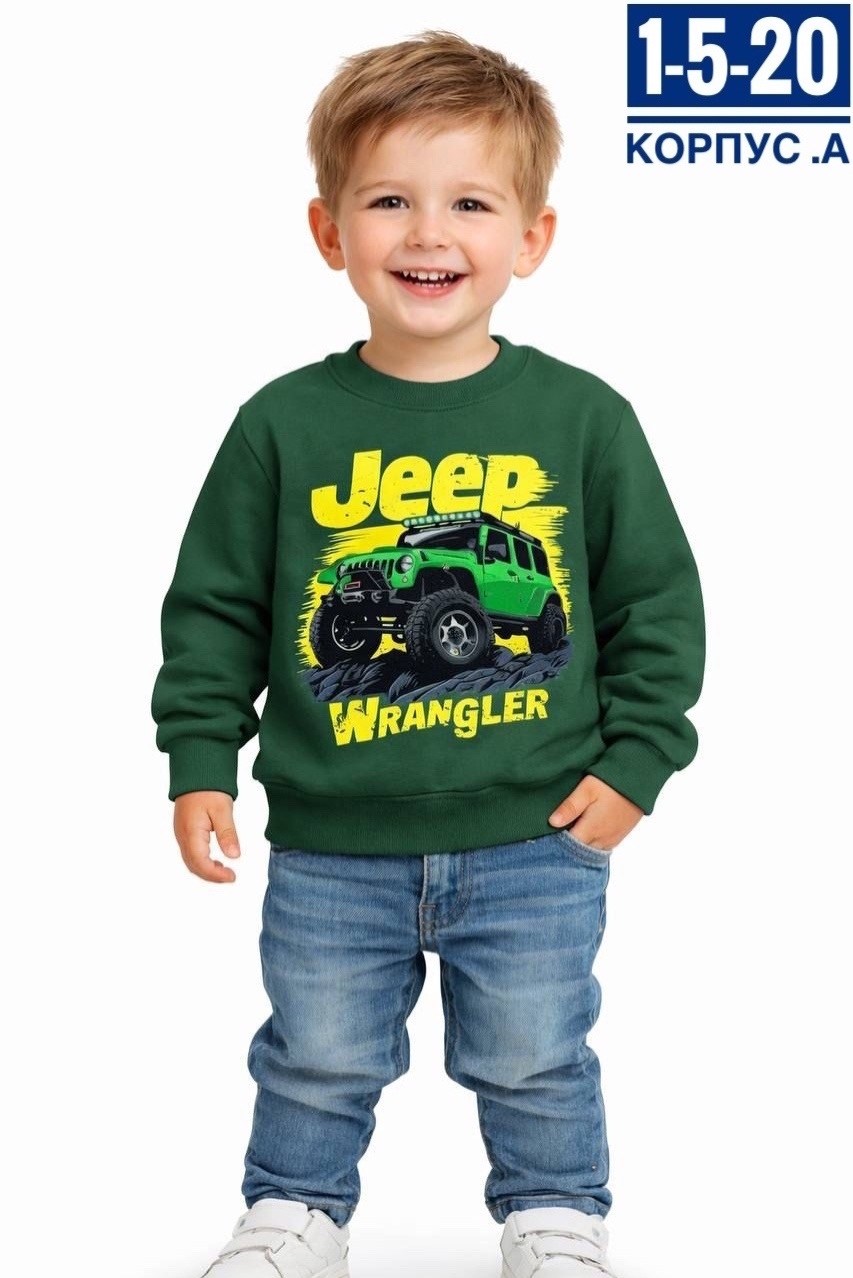 свитшот для мальчика,кофта для мальчика,толстовка для мальчика,детский джемпер,свитшот для малыша