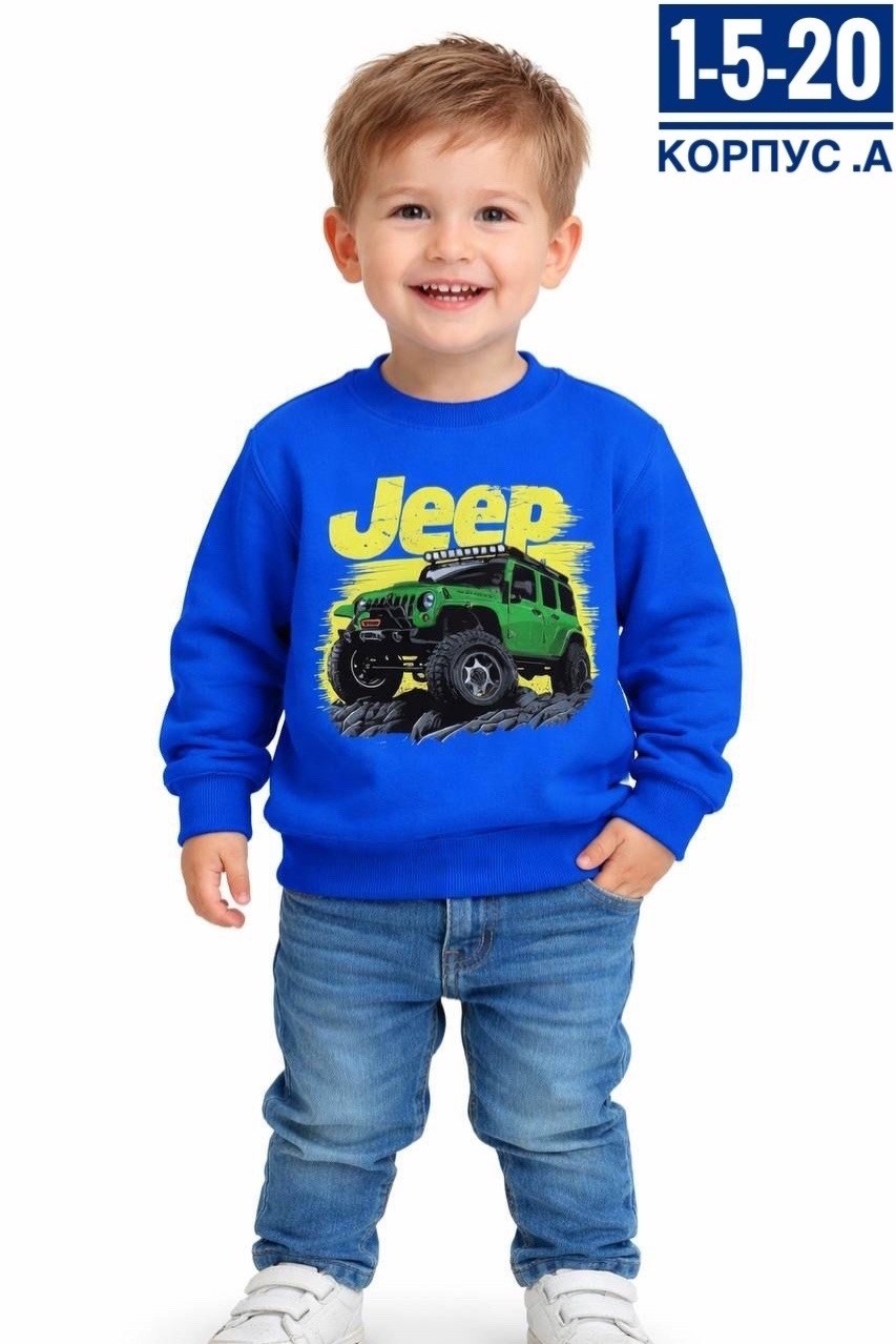 свитшот для мальчика,кофта для мальчика,толстовка для мальчика,детский джемпер,свитшот для малыша