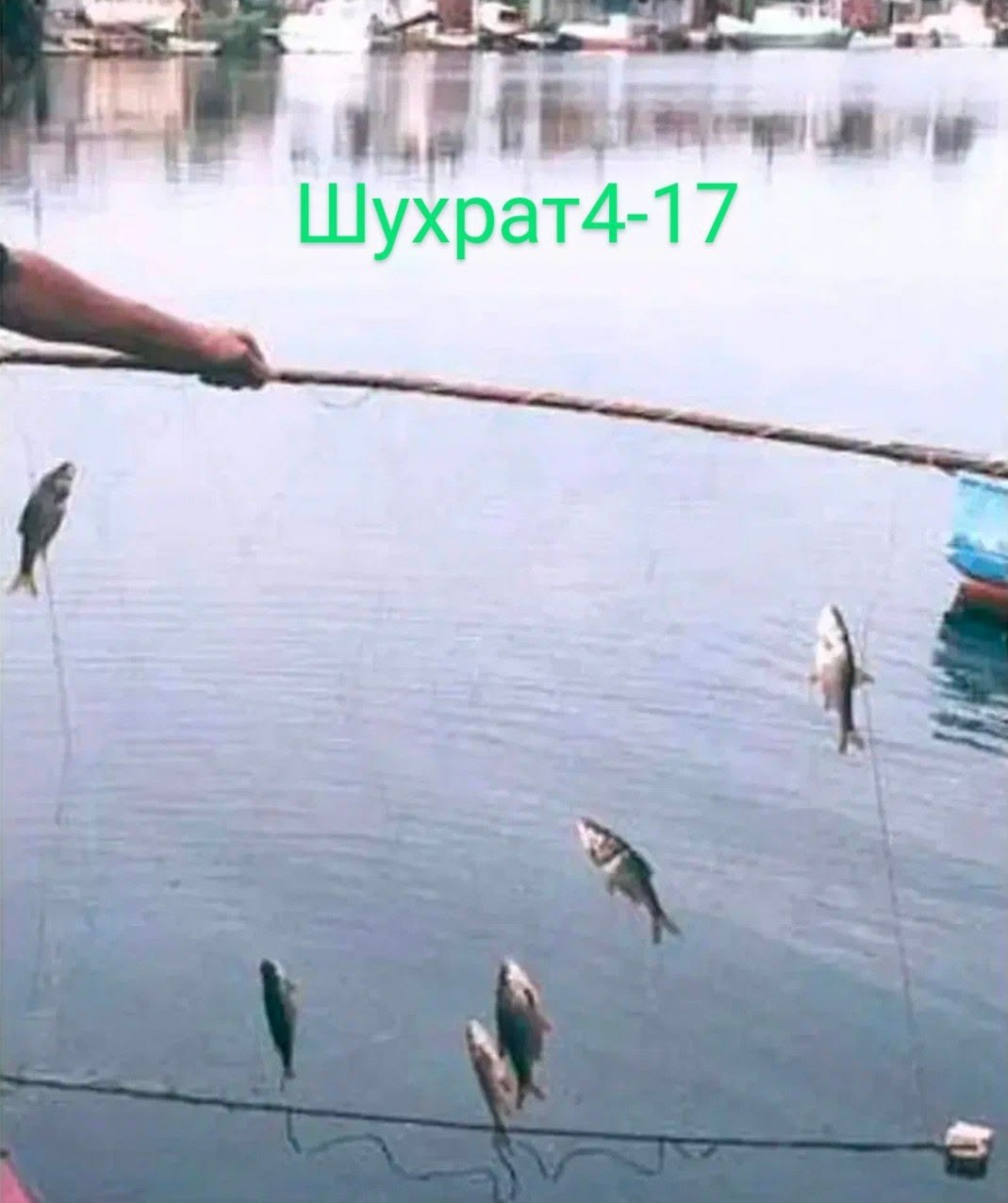 экран для рыбалки,рыболовный экран,сетка экран для рыбалки,экран для ловли рыбы,сети для рыбалки