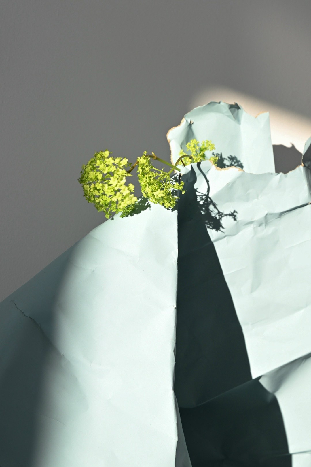 цветочная композиция,композиции,флористика,композиции цветов,натюрморты