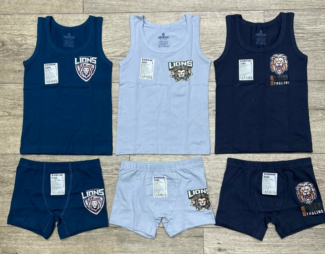 комплект боксеры + майка байкар,комплект майка трусы,комплект майка трусы для мальчика,комплект нижнего белья для мальчика,белье детское комплект