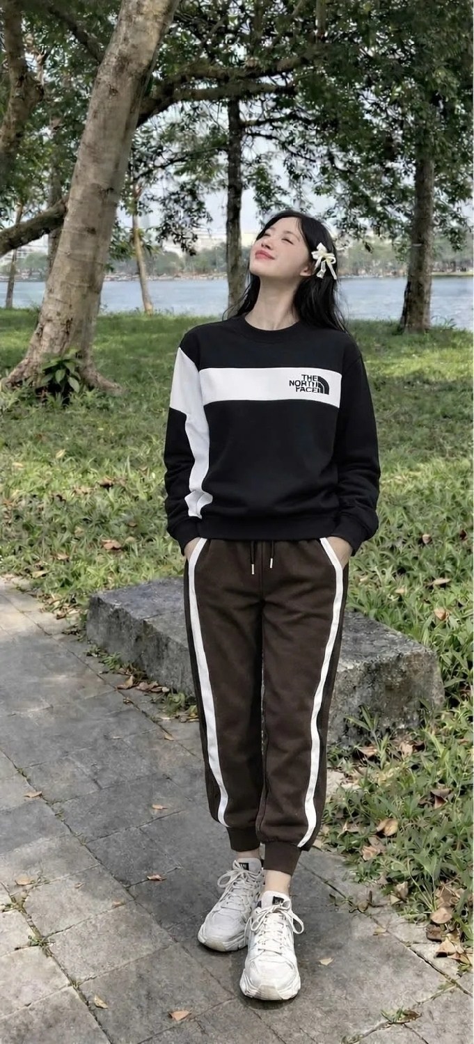 комплект одежды the north face,костюм спортивный the north face,толстовка,свитшот мужской