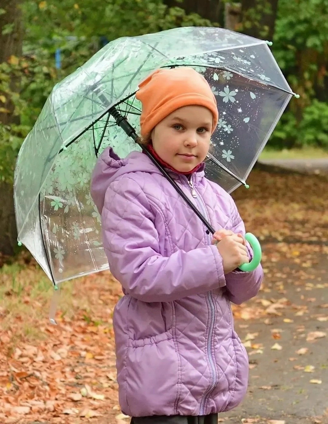 зонт прозрачный,прозрачный зонтик,зонт красный,зонт,зонт от дождя