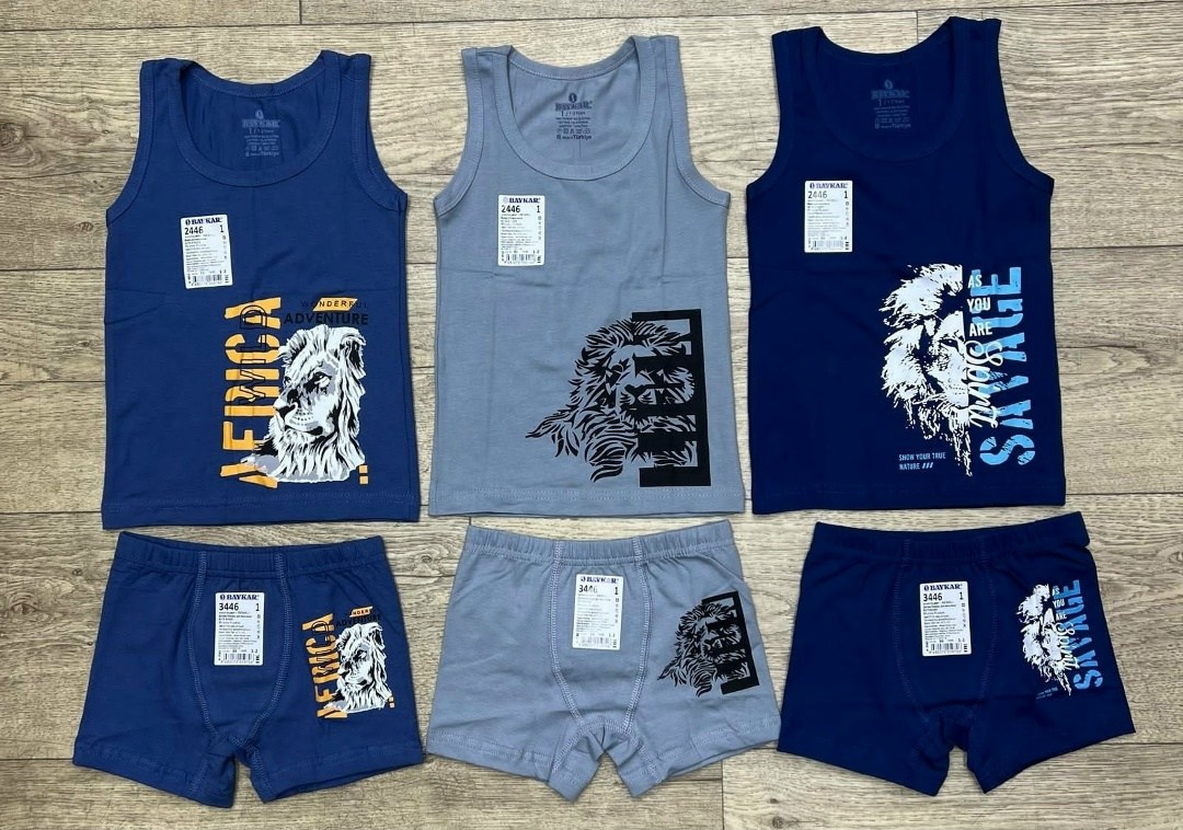 комплект боксеры + майка байкар,комплект майка трусы,комплект майка трусы для мальчика,комплект нижнего белья для мальчика,белье детское комплект