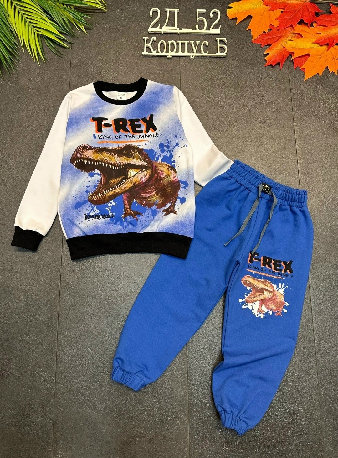 ,комплект костюм,костюм для мальчиков,костюм детский,детские костюмы