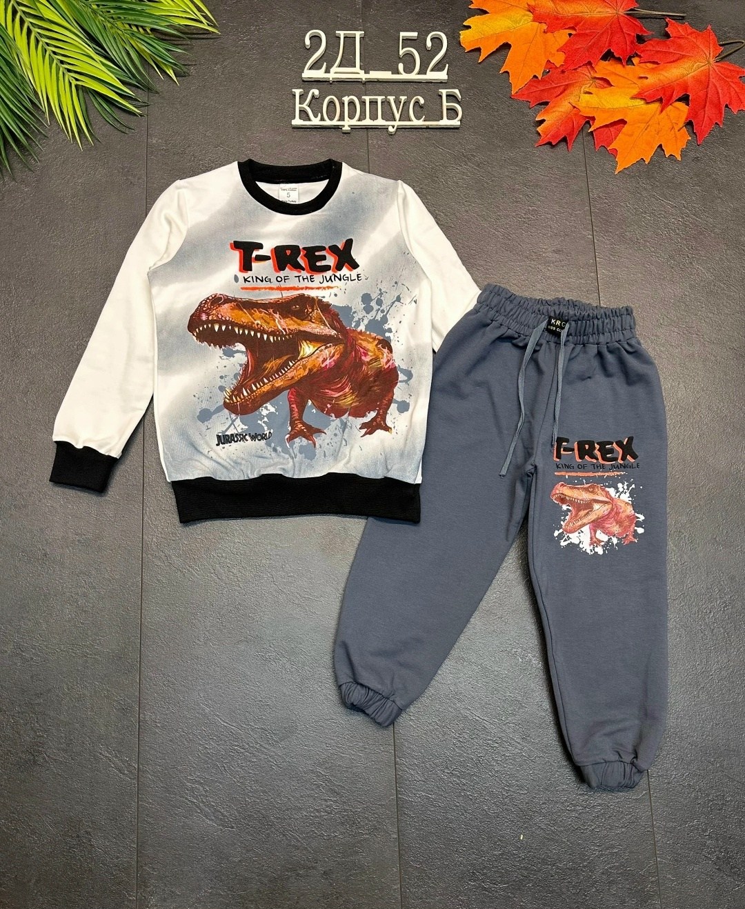,комплект костюм,костюм для мальчиков,костюм детский,детские костюмы