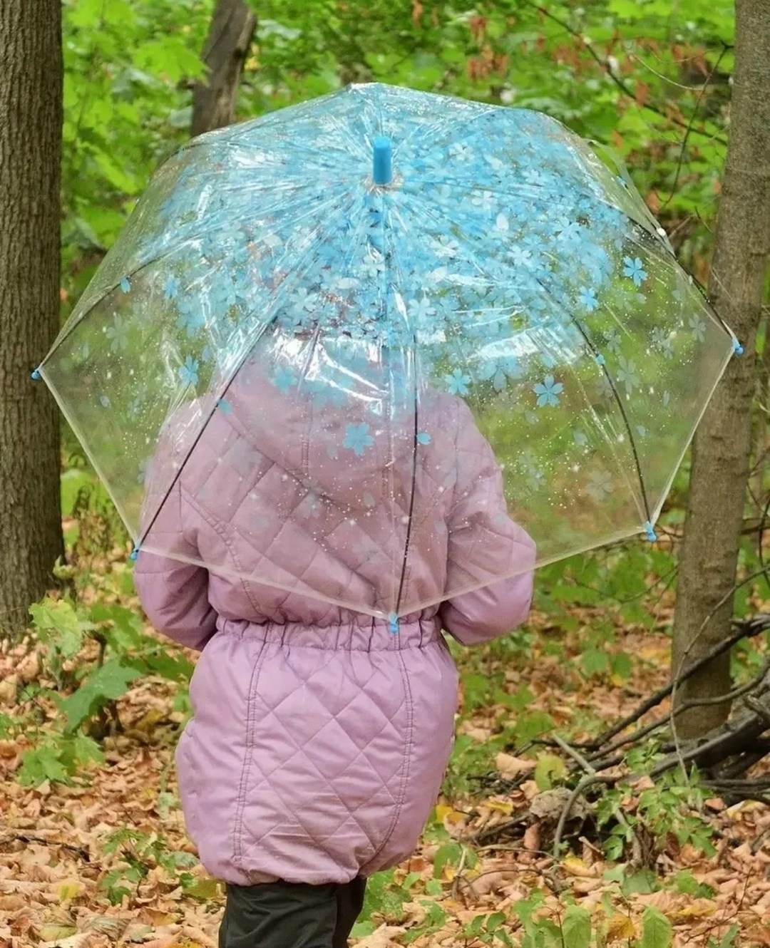 зонт прозрачный,прозрачный зонтик,зонт красный,зонт,зонт от дождя