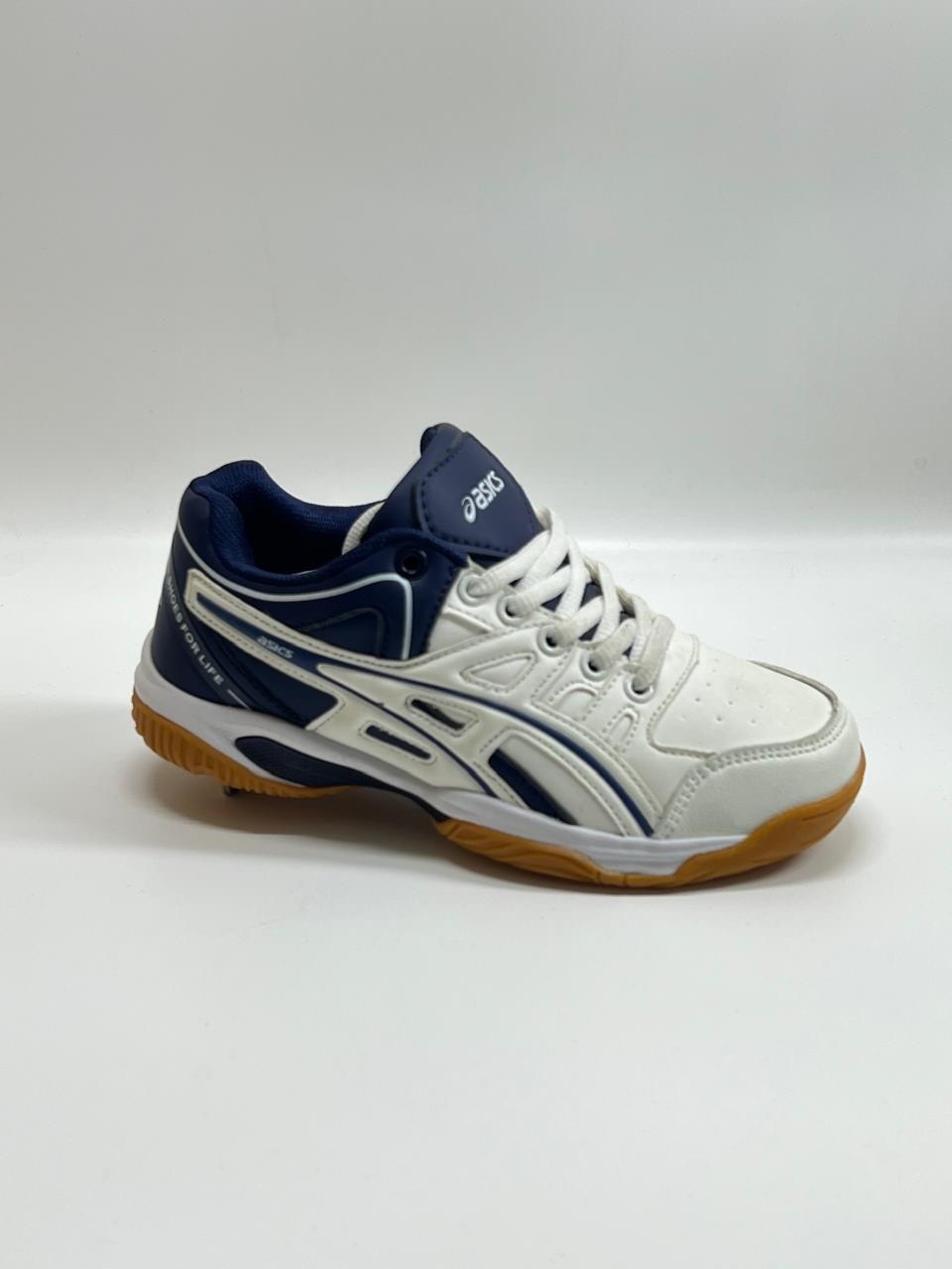 волейбольные кроссовки,волейбольные кроссовки mizuno,волейбольные кроссовки мужские,кроссовки для волейбола,спортивная