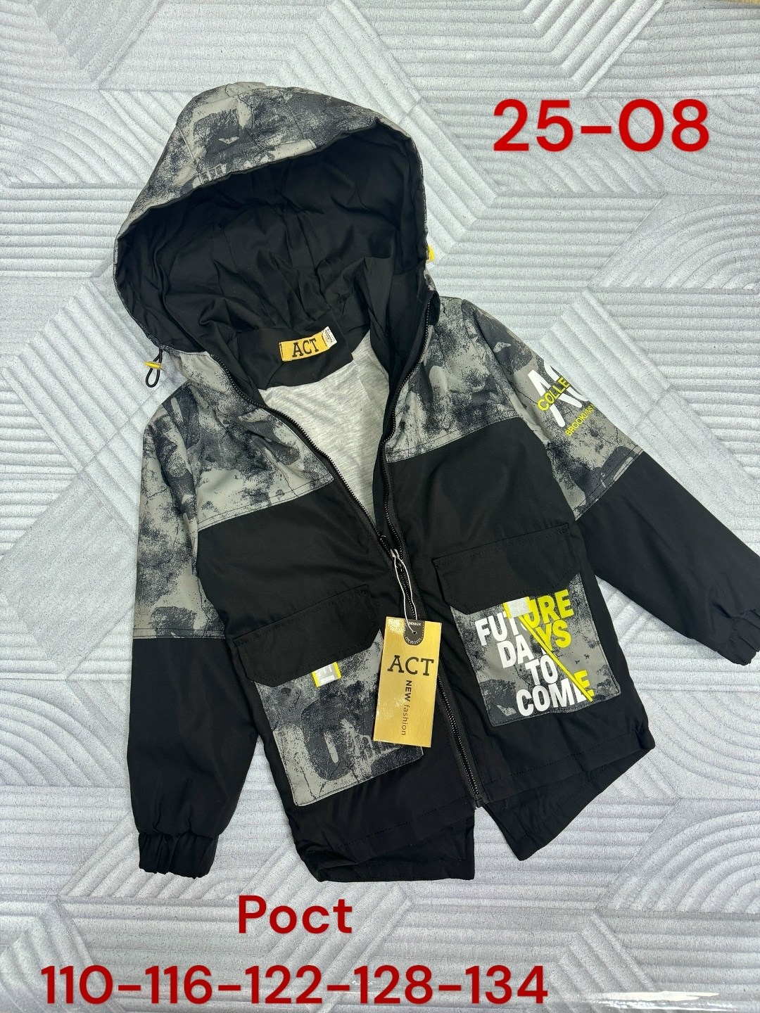 демисезонная куртка для мальчиков,куртка на мальчика,демисезонная куртка,куртка детская,комплект куртка