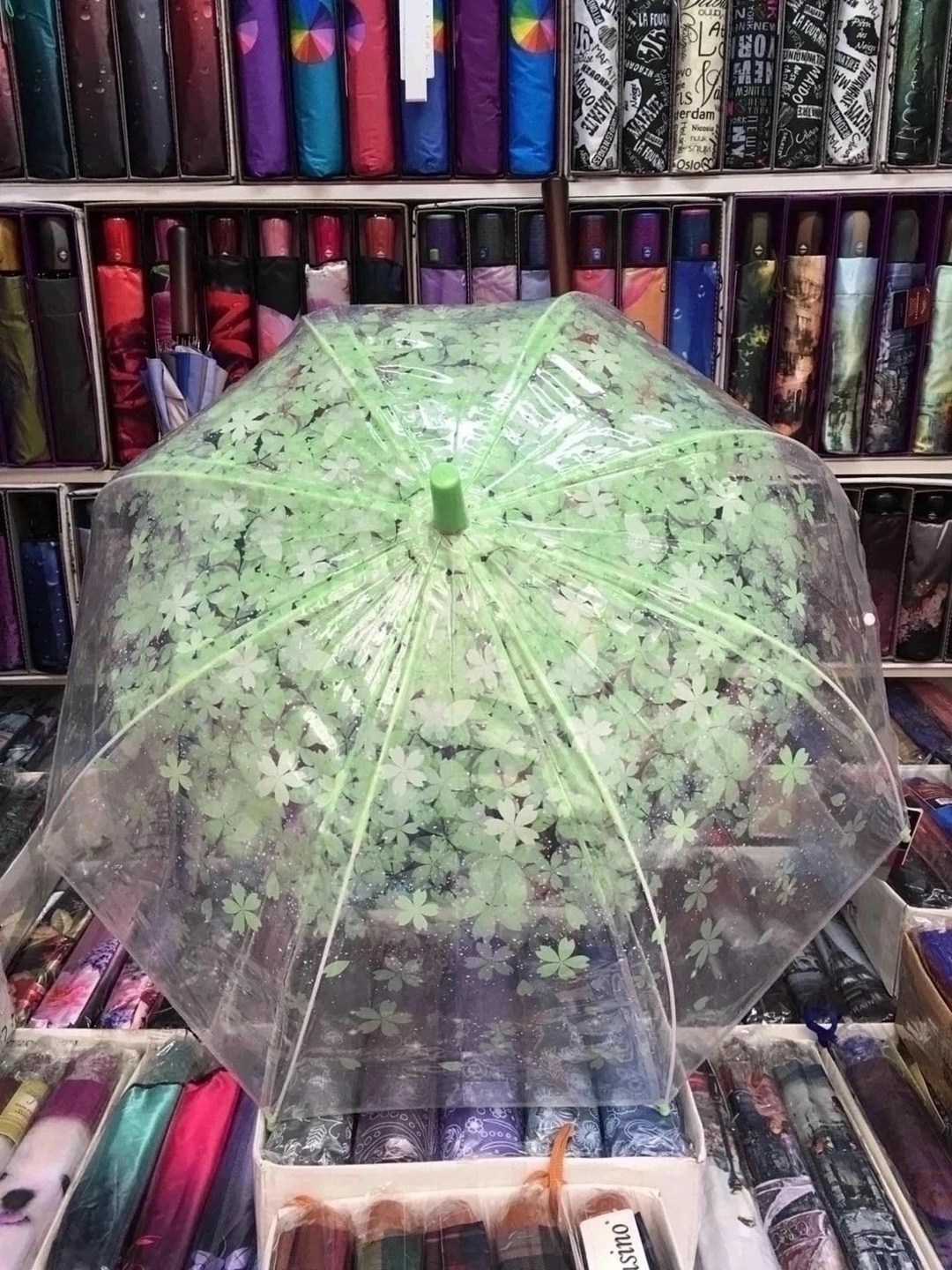 зонт прозрачный,прозрачный зонтик,зонт красный,зонт,зонт от дождя