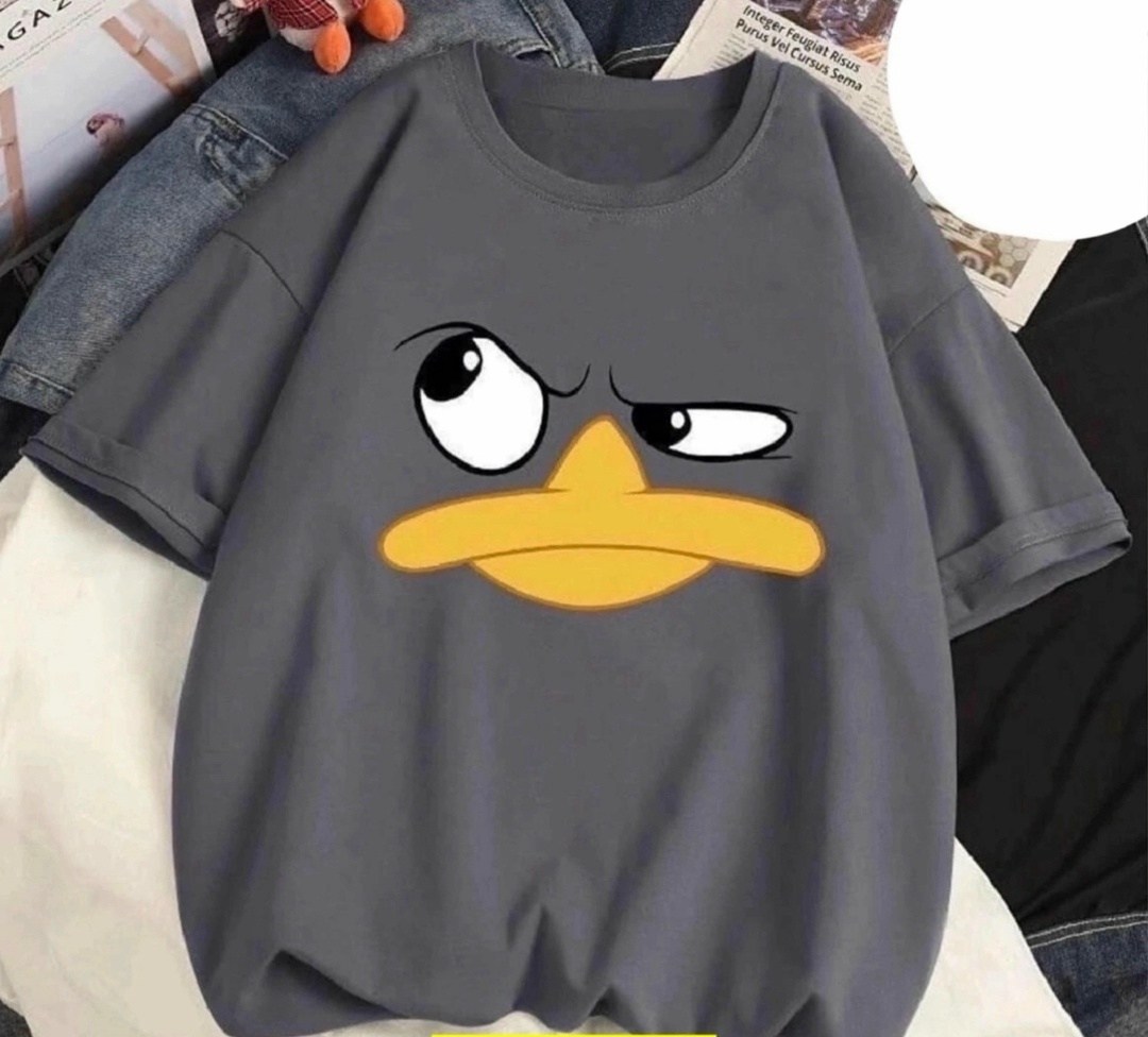 футболки оверсайз женские,футболки женская,футболки модные,оверсайз футболка