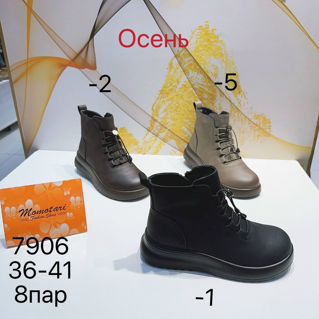,ботинки женские,зимняя  женская,демисезонные ботинки,ботинки демисезонные женские
