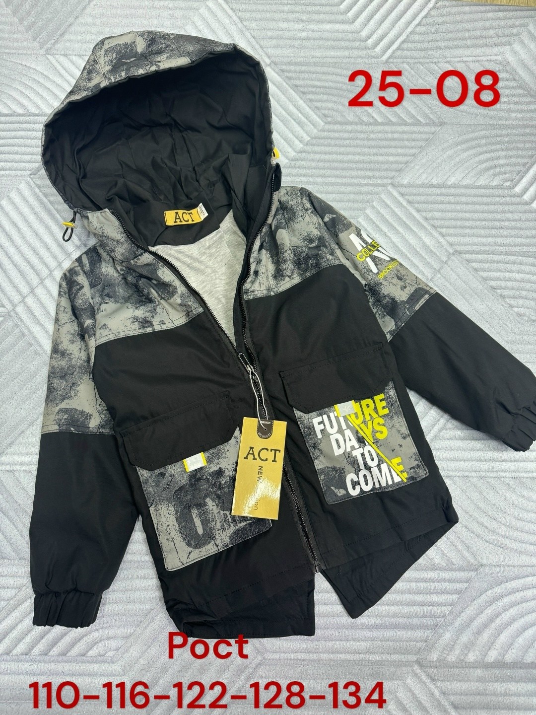 демисезонная куртка для мальчиков,куртка на мальчика,демисезонная куртка,куртка детская,комплект куртка