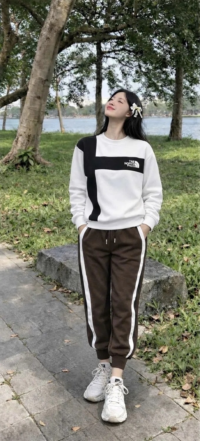 комплект одежды the north face,костюм спортивный the north face,толстовка,свитшот мужской