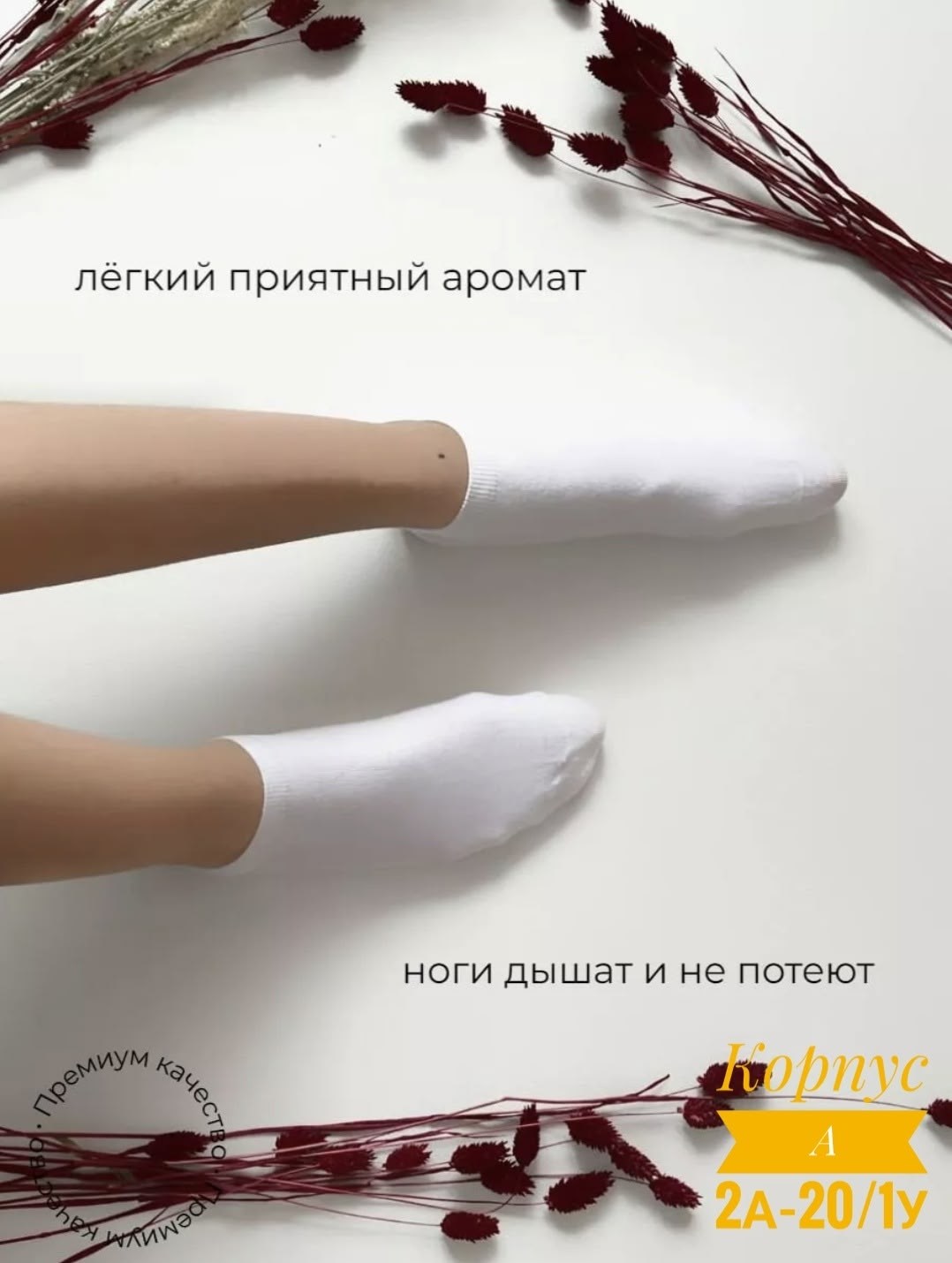 носки короткие хлопок набор 10 пар,носки turkan женские 10 пар,носки короткие хлопок набор,носки женские короткие хлопок набор 10 пар,носки белые короткие набор 10 пар turkan