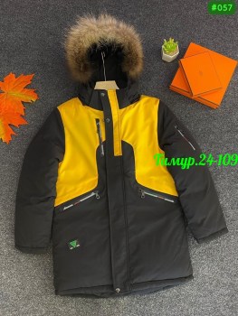 Верхняя одежда