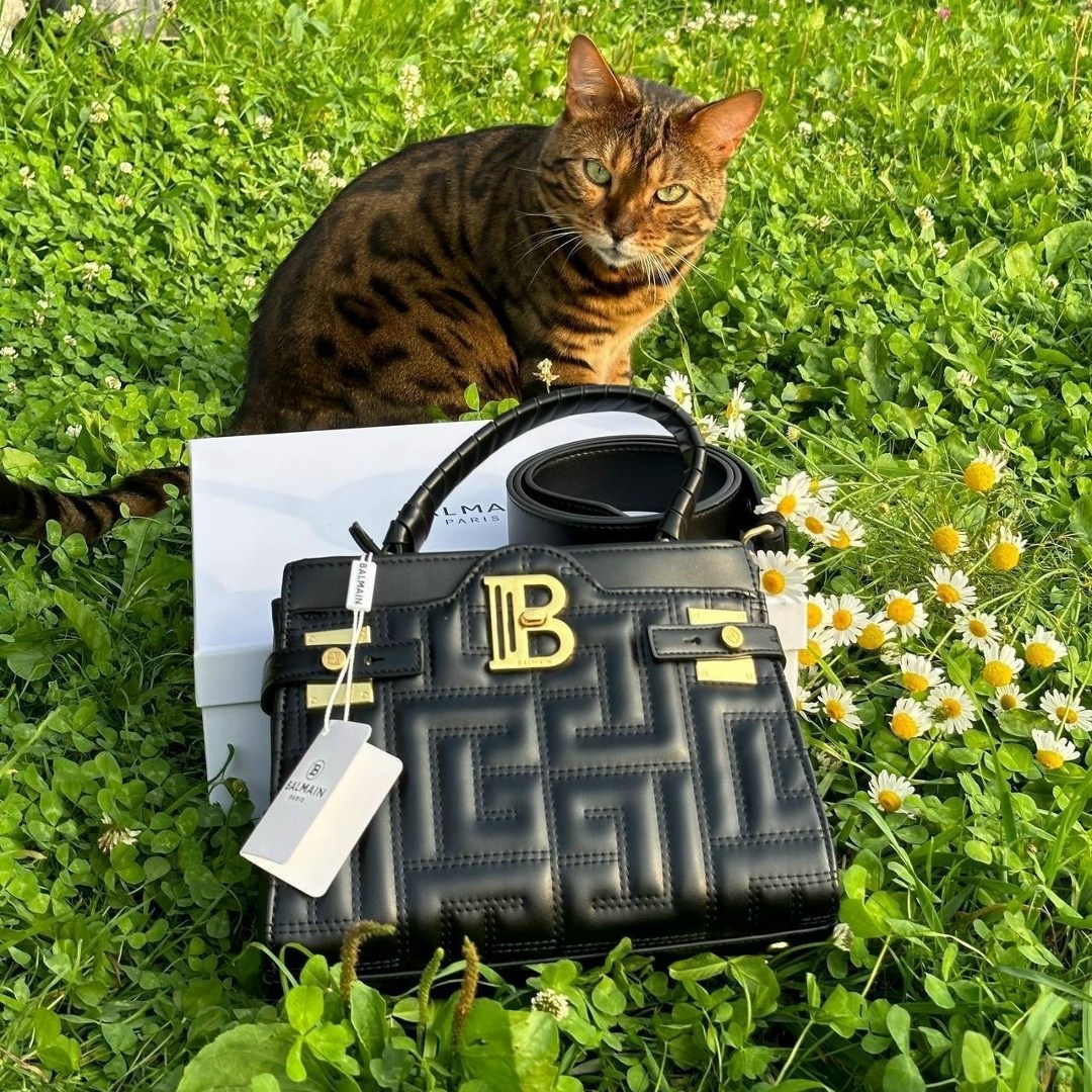 сумки balmain,сумки,сумка женская balmain,сумка,balmain сумка на плечо