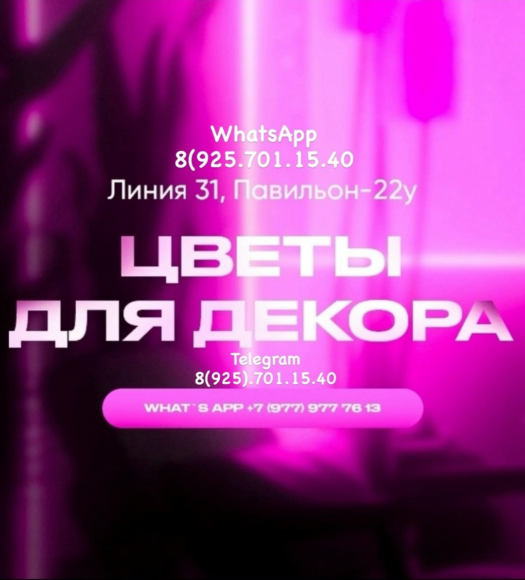 цветы неоновая вывеска,вывеска цветы,вывеска неоновая,неоновая вывеска на заказ,цветы подарки