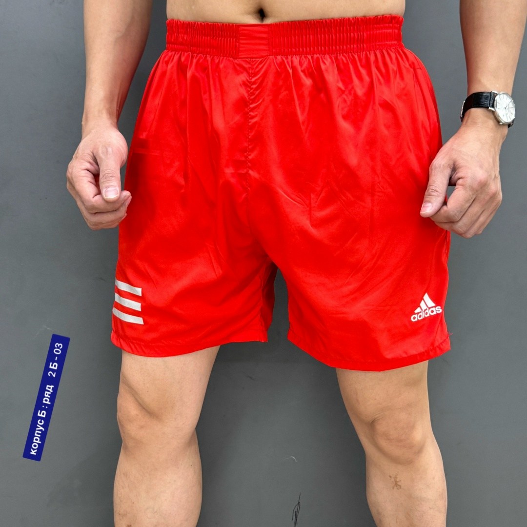 шорты мужские,спортивные шорты,шорты мужские спортивные,шорты для мужчин,шорты мужские с сеткой