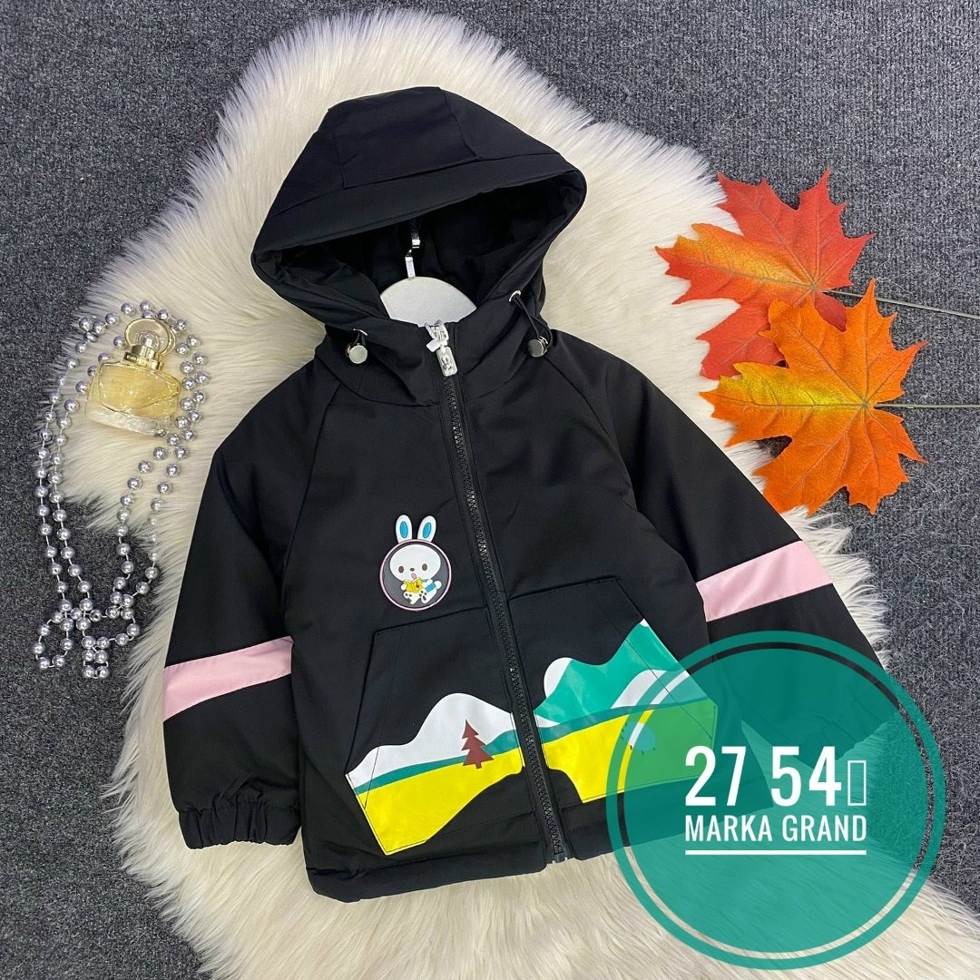 куртка демисезонная,куртка детский,куртка,куртка для детей,детская куртка