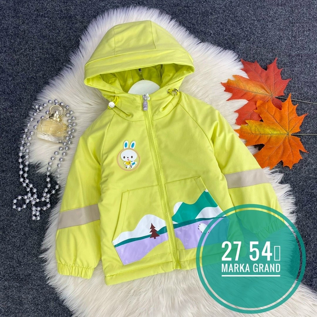 куртка демисезонная,куртка детский,куртка,куртка для детей,детская куртка