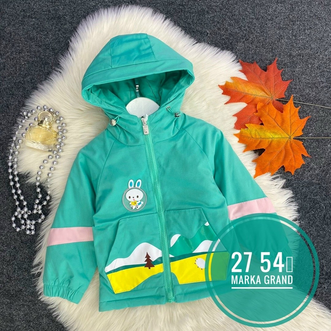 куртка демисезонная,куртка детский,куртка,куртка для детей,детская куртка