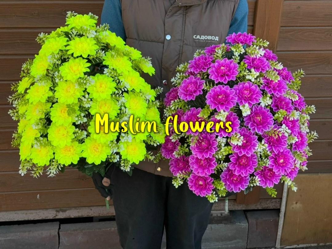 хризантема мультифлора брансаунд пурпл,цветок искусственная,мультифлора хризантемы,многолетние хризантемы,хризантемы садовые