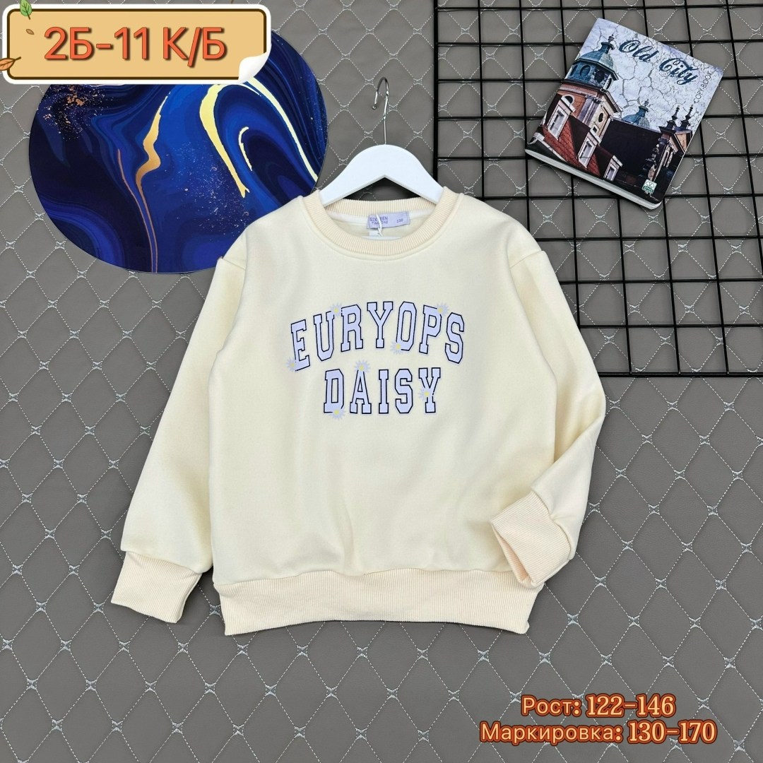 детская кофта,свитшот для мальчика,толстовка с начесом детская,толстовка с начесом,толстовка