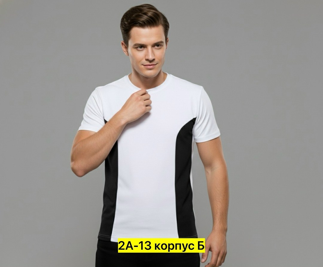 мужская футболка,белая футболка мужская,россия футболка мужская,футболка,футболки для мальчика