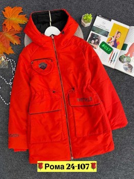 Верхняя одежда