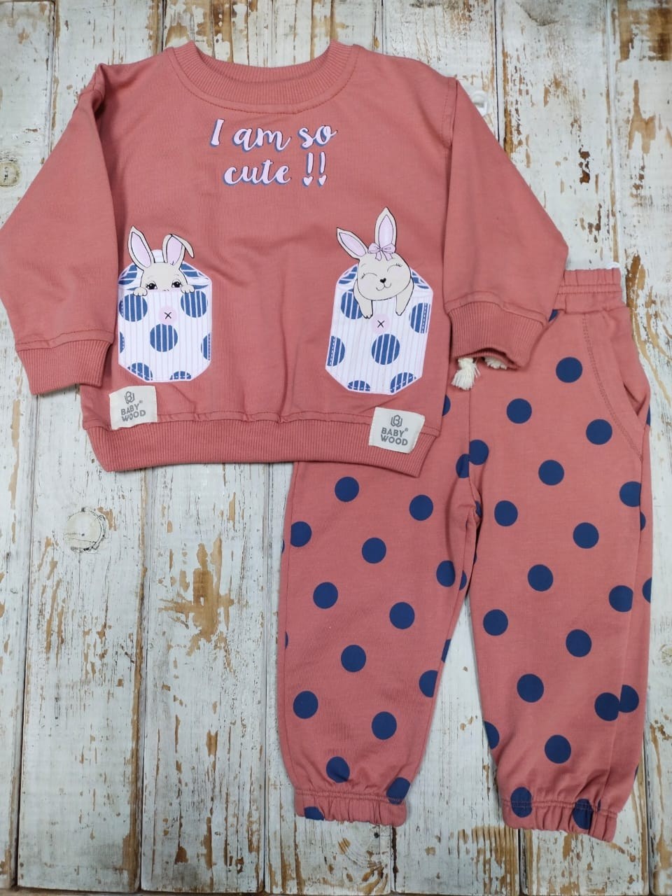 комплект костюм,костюм для малыша,одежда для детей,комплект одежды девочке,костюм для девочек